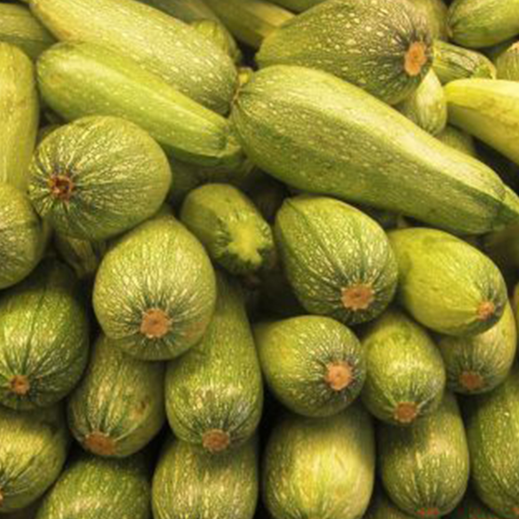 calabaza en la cocina mexicana